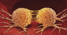 Cancer and Life