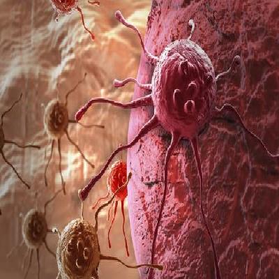 Cancer Treatment and Genetic Testing
